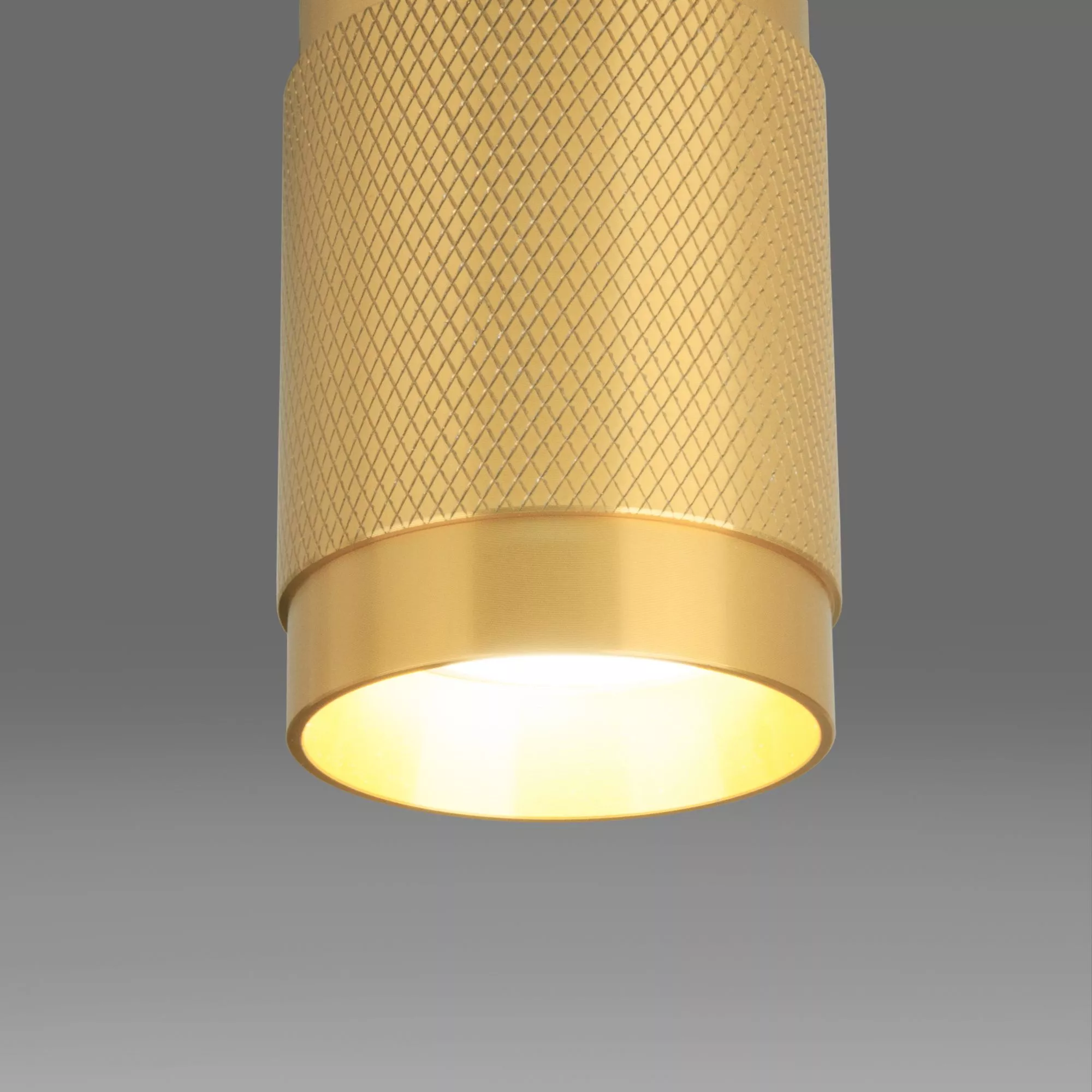 Точечный накладной светильник Elektrostandard Tony DLN109 GU10 Золото