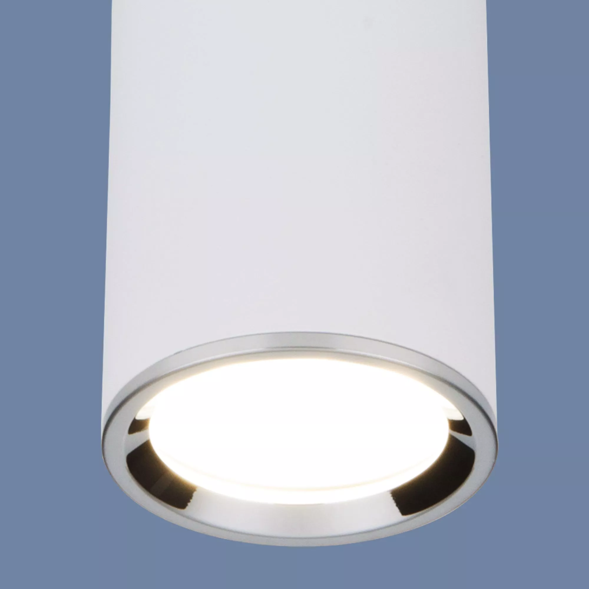 Точечный накладной светильник Elektrostandard Rutero DLN101 GU10 белый