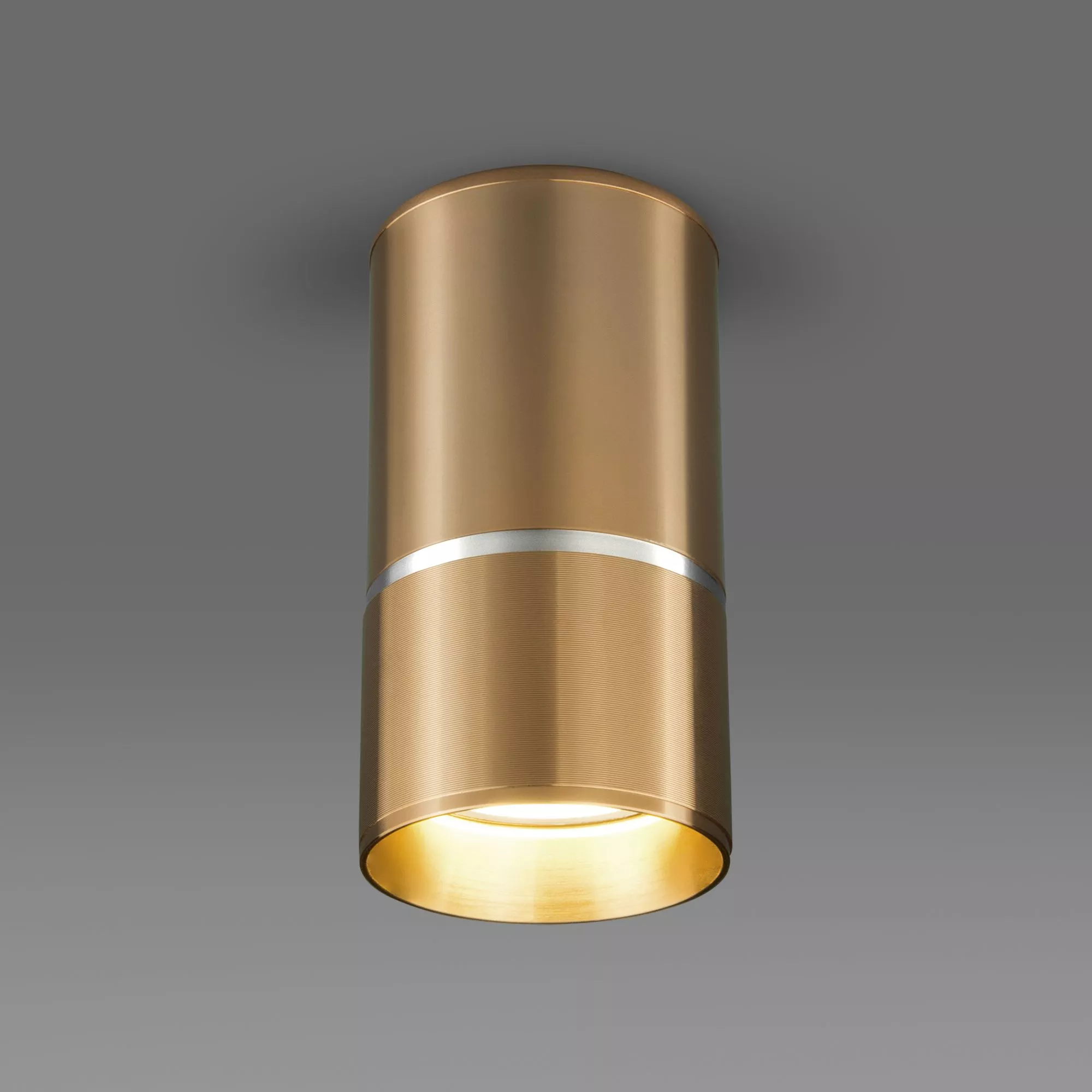 Точечный накладной светильник Elektrostandard DLN106/DLN107 DLN106 GU10 Золото