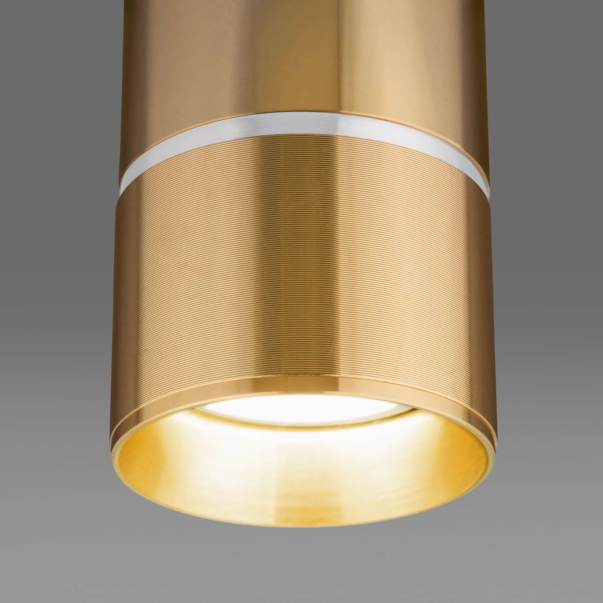 Точечный накладной светильник Elektrostandard DLN106/DLN107 DLN106 GU10 Золото