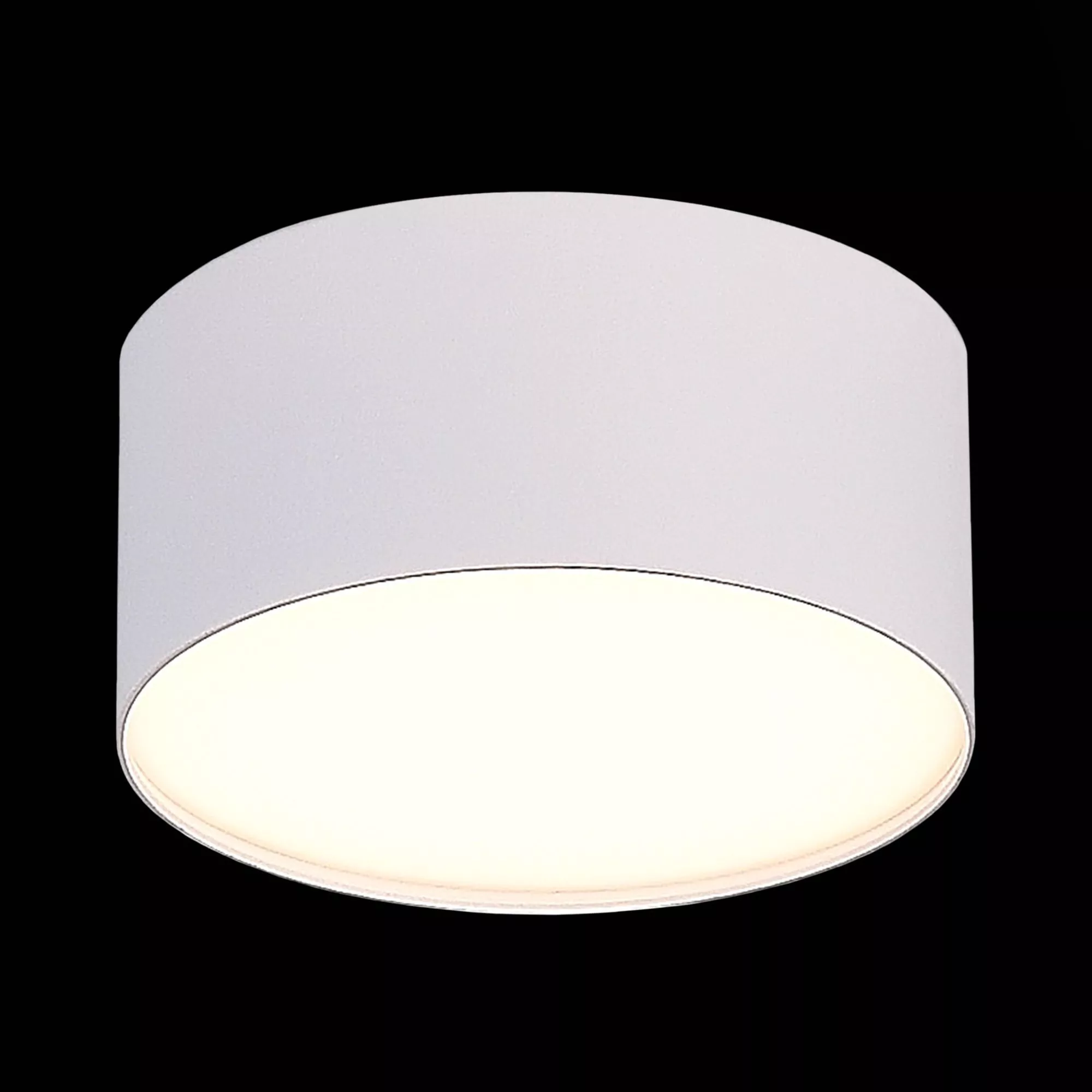 Точечный накладной светильник Белый LED 185-265V St Luce ST606.532.12
