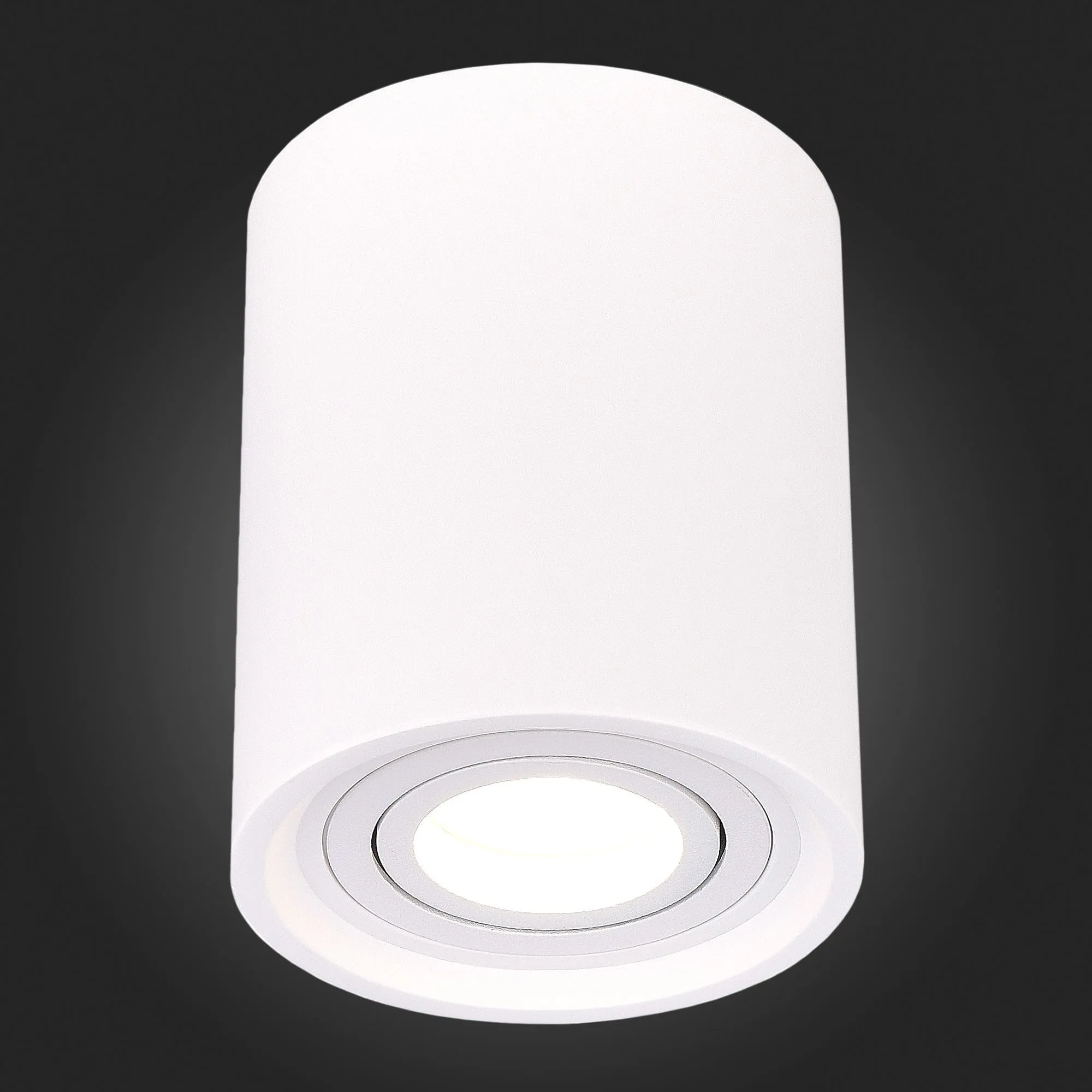 Точечный накладной светильник Белый GU10 180-240V St Luce ST156.502.01