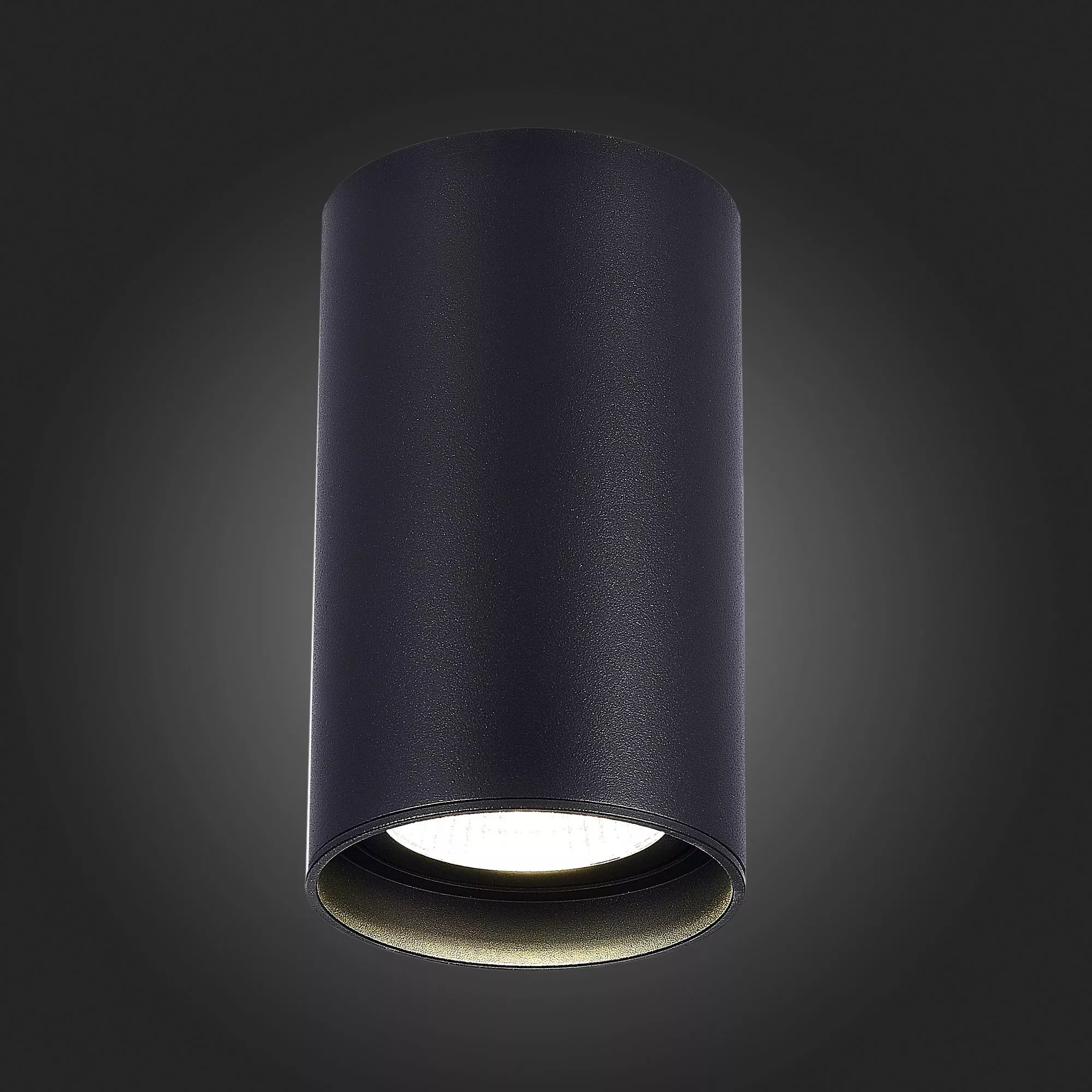 Точечный накладной светильник Черный LED 220-265V St Luce ST157.442.20