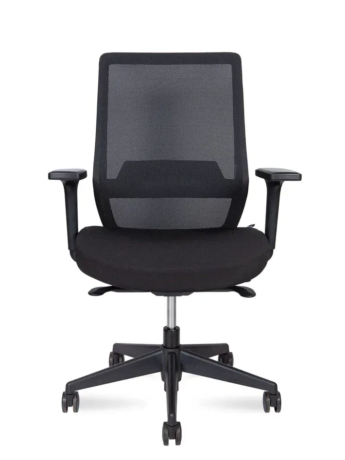 Кресло эргономичное NORDEN Mono black LB без подголовника черный пластик M6255 black