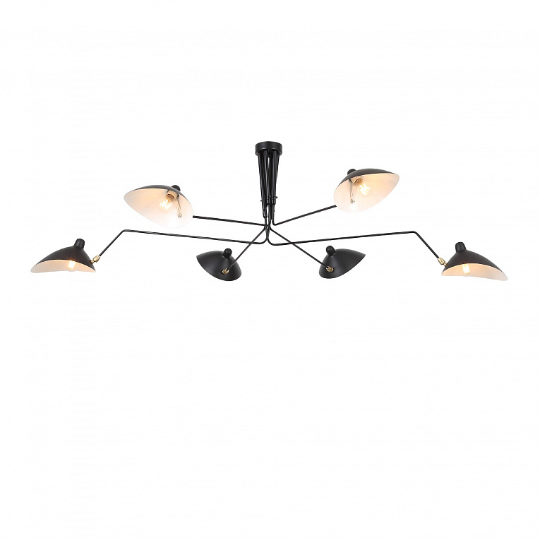Накладная люстра ST LUCE SPRUZZO / СПРУЗЗО SL305.402.06
