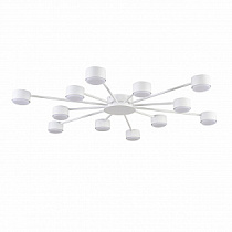 Накладная люстра LUMION TORINA 8343/12C