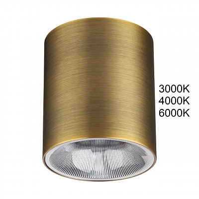 Точечный накладной светильник ODEON LIGHT BRIM 7137/12CL
